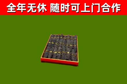 北票回收海参